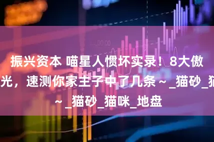 振兴资本 喵星人惯坏实录！8大傲娇行为曝光，速测你家主子中了几条～_猫砂_猫咪_地盘