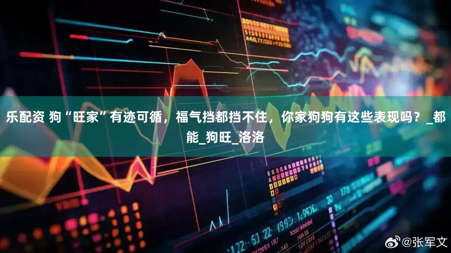 乐配资 狗“旺家”有迹可循，福气挡都挡不住，你家狗狗有这些表现吗？_都能_狗旺_洛洛