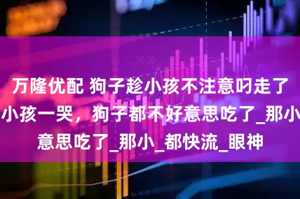 万隆优配 狗子趁小孩不注意叼走了小孩的鸭腿，小孩一哭，狗子都不好意思吃了_那小_都快流_眼神