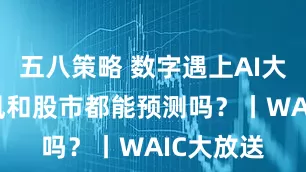 五八策略 数字遇上AI大模型 台风和股市都能预测吗？丨WAIC大放送