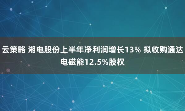 云策略 湘电股份上半年净利润增长13% 拟收购通达电磁能12.5%股权