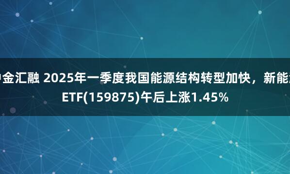 中金汇融 2025年一季度我国能源结构转型加快，新能源ETF(159875)午后上涨1.45%