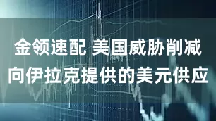金领速配 美国威胁削减向伊拉克提供的美元供应