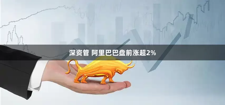 深资管 阿里巴巴盘前涨超2%
